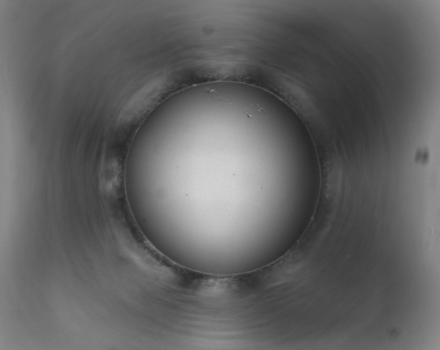 X0000111380077200907171232