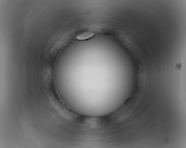 X0000111380079200907171232