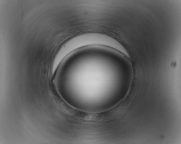 X0000111380080200907171232