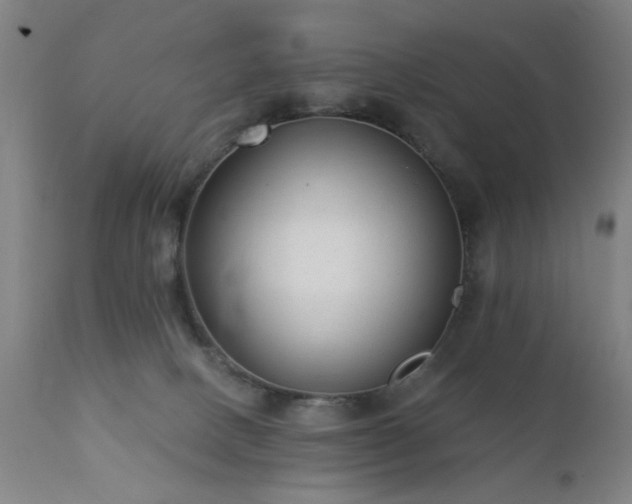 X0000111380082200907171232