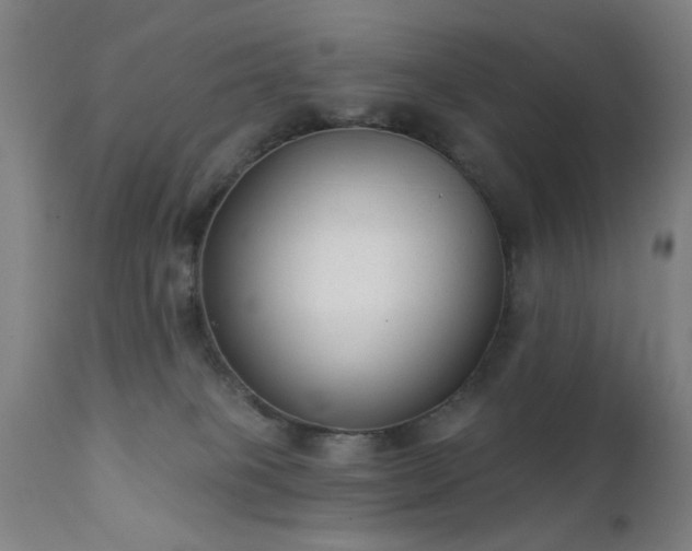 X0000111380085200907171232