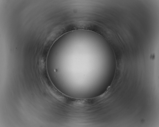 X0000111380086200907171232