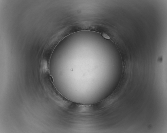 X0000111380089200907171232