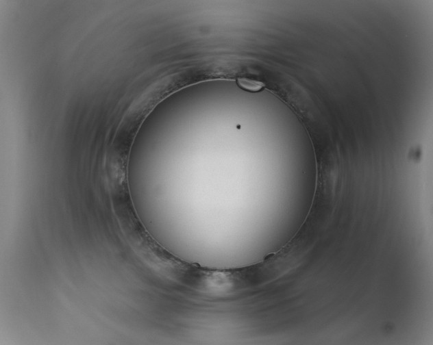 X0000111380091200907171232