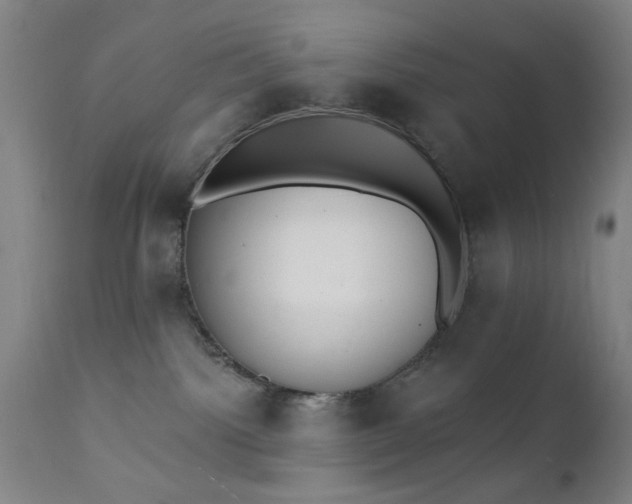 X0000111380092200907171232