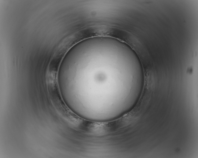 X0000111380093200907171232