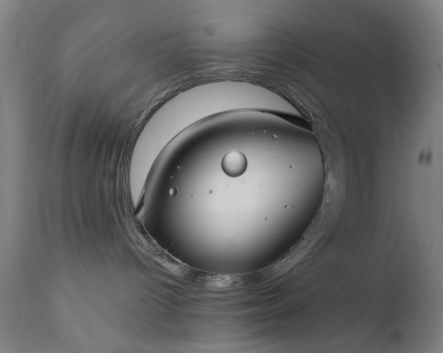 X0000111380096200907171232