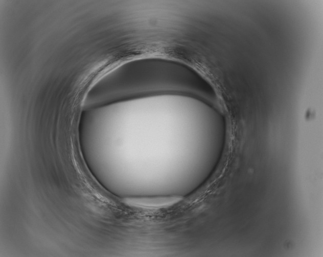 X0000111380097200907171232