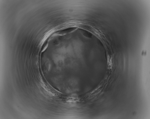 X0000111380099200907171232