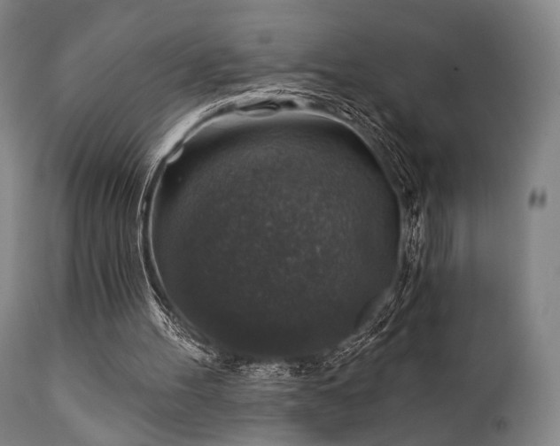 X0000111380100200907171232