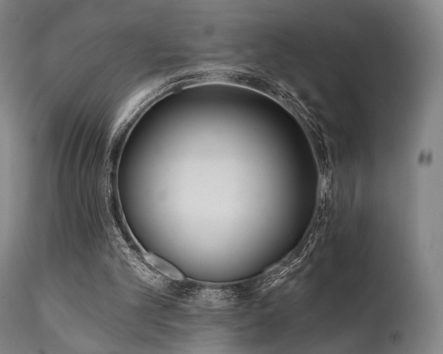 X0000111380101200907171232