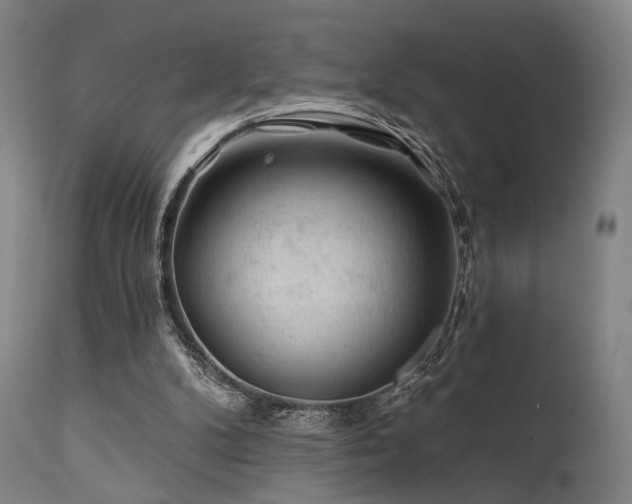 X0000111380104200907171232