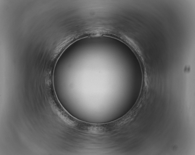 X0000111380105200907171232