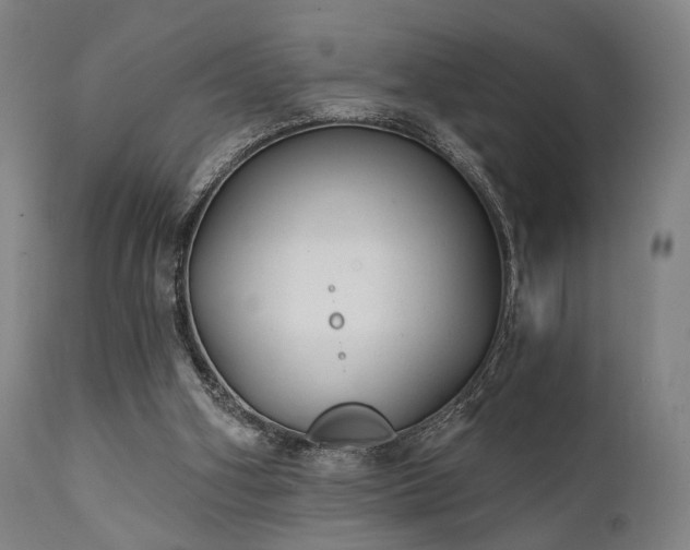 X0000111380106200907171232