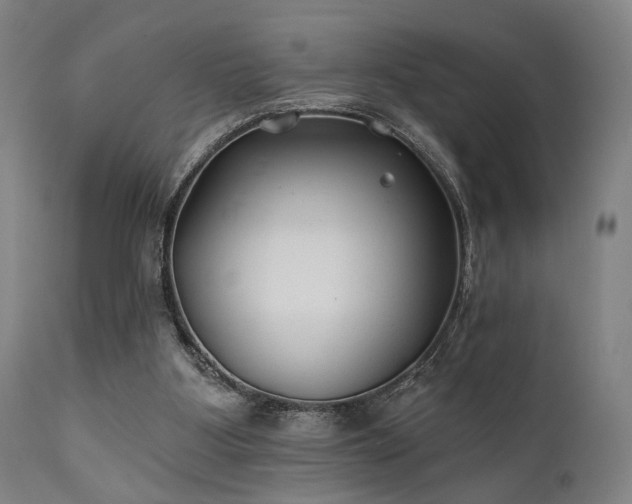 X0000111380107200907171232