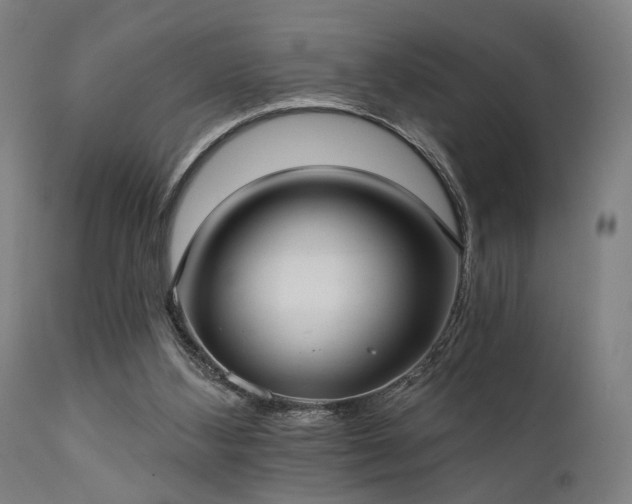 X0000111380108200907171232