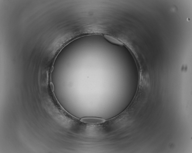 X0000111380109200907171232