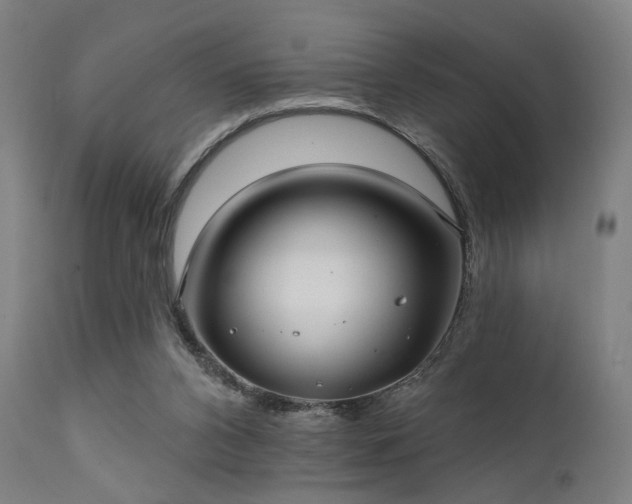 X0000111380112200907171232