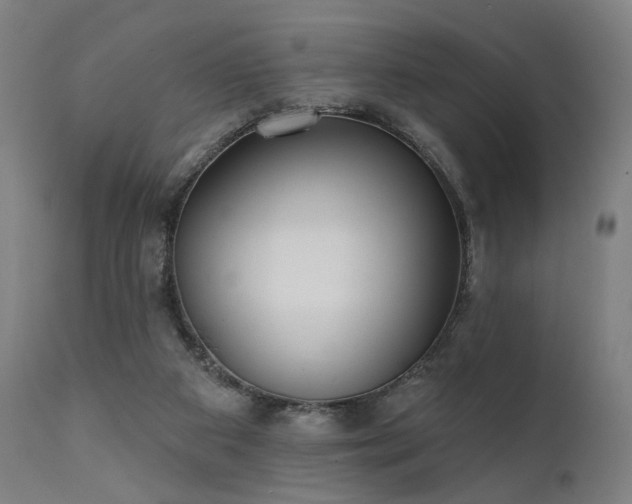 X0000111380113200907171232