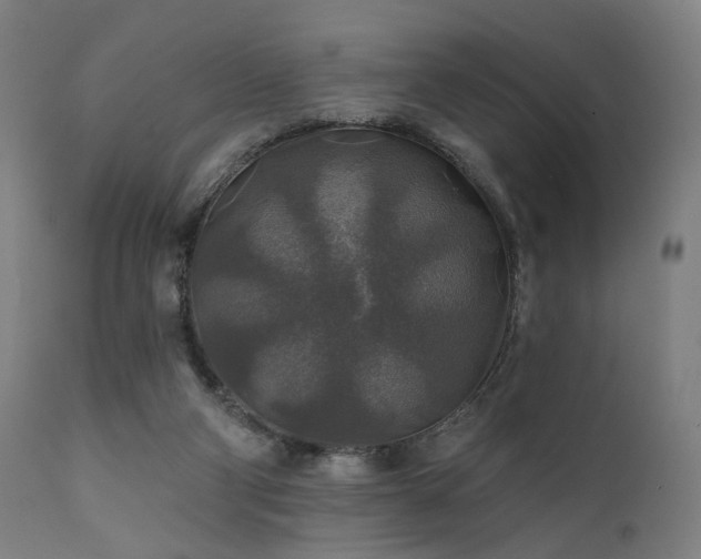 X0000111380114200907171231