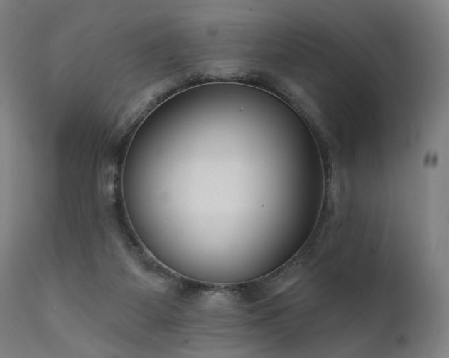 X0000111380115200907171231