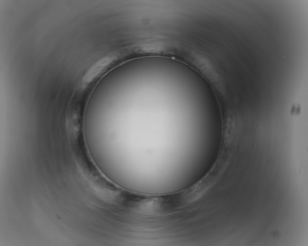 X0000111380116200907171231