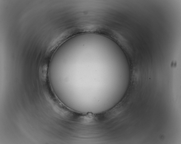 X0000111380118200907171231