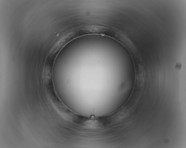 X0000111380119200907171231