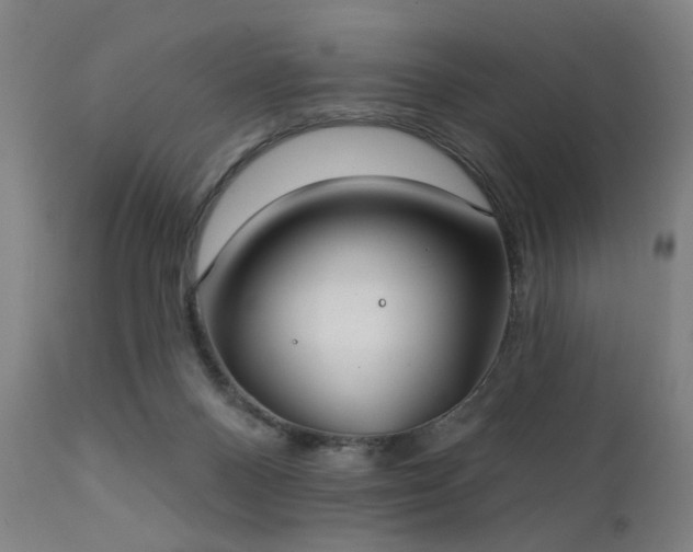 X0000111380120200907171231