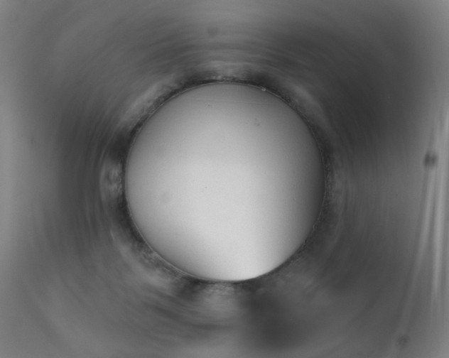 X0000111380123200907171231