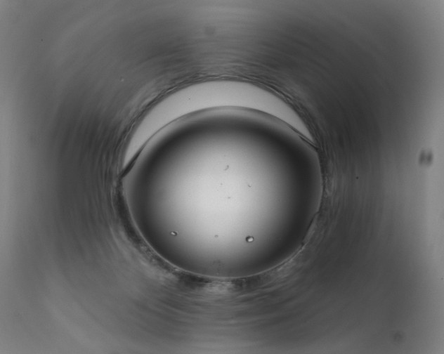 X0000111380124200907171231