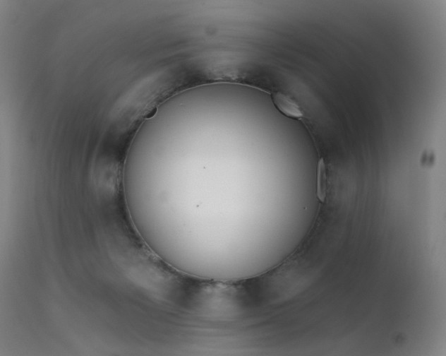 X0000111380125200907171231