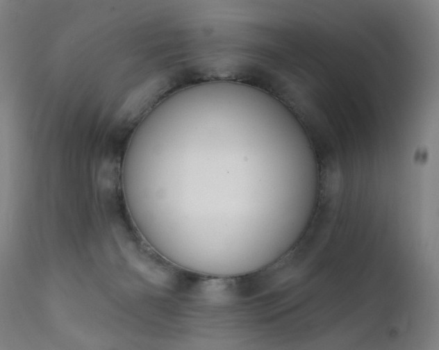 X0000111380126200907171231