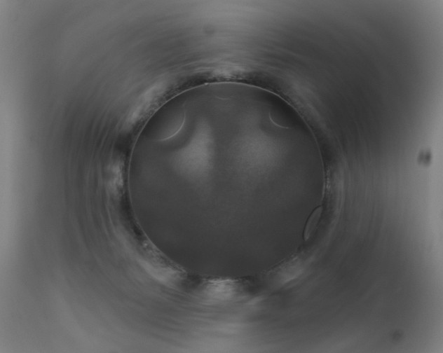 X0000111380127200907171231