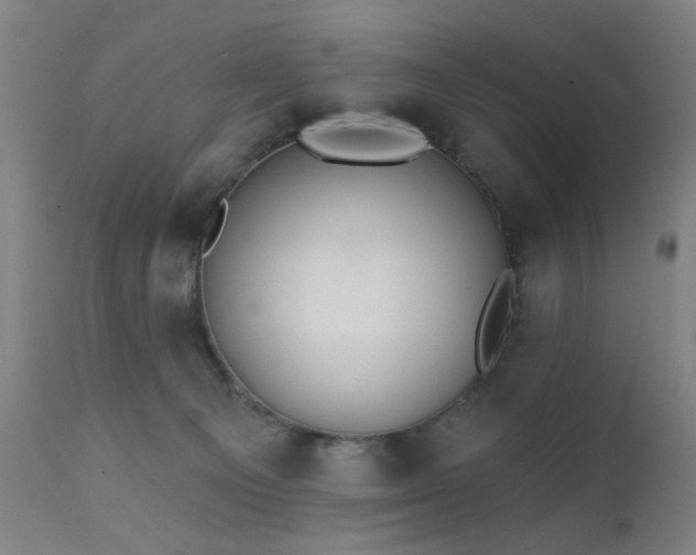 X0000111380129200907171231