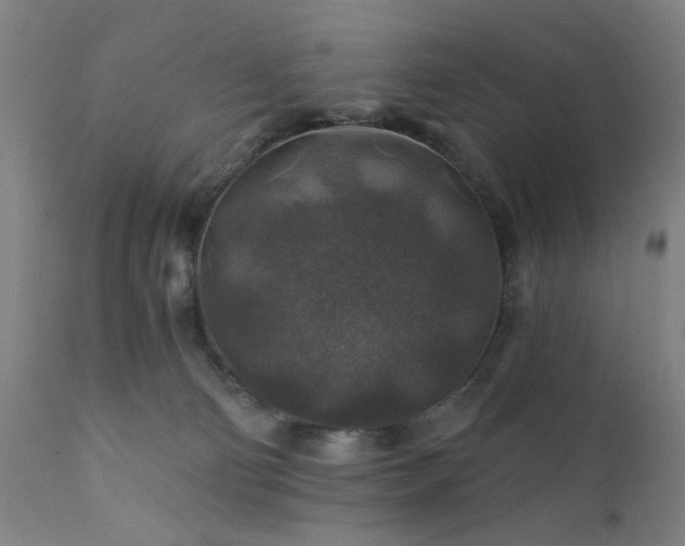 X0000111380130200907171231