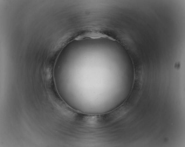 X0000111380131200907171231