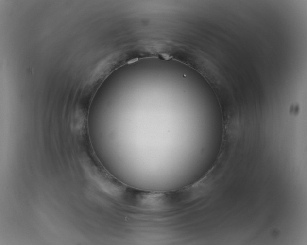 X0000111380132200907171231