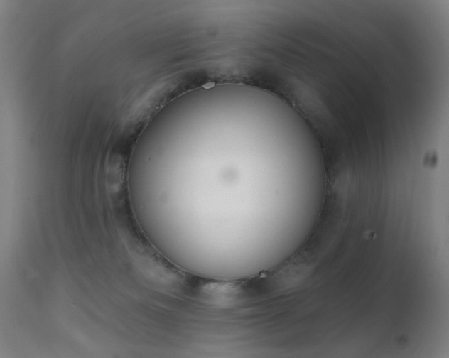 X0000111380133200907171231