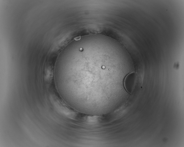 X0000111380134200907171231