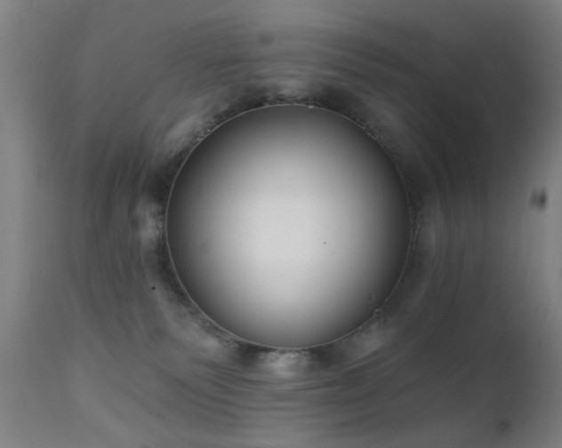 X0000111380135200907171231