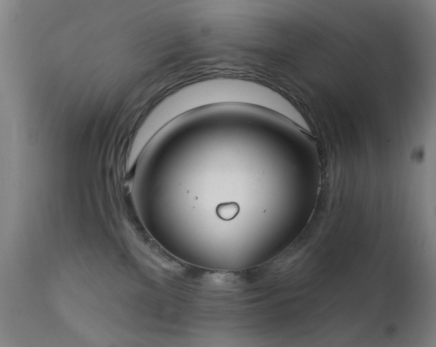 X0000111380137200907171231