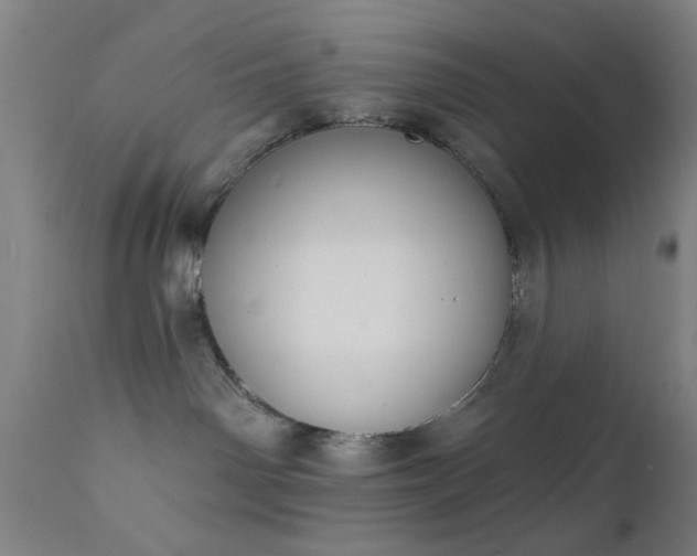 X0000111380142200907171231