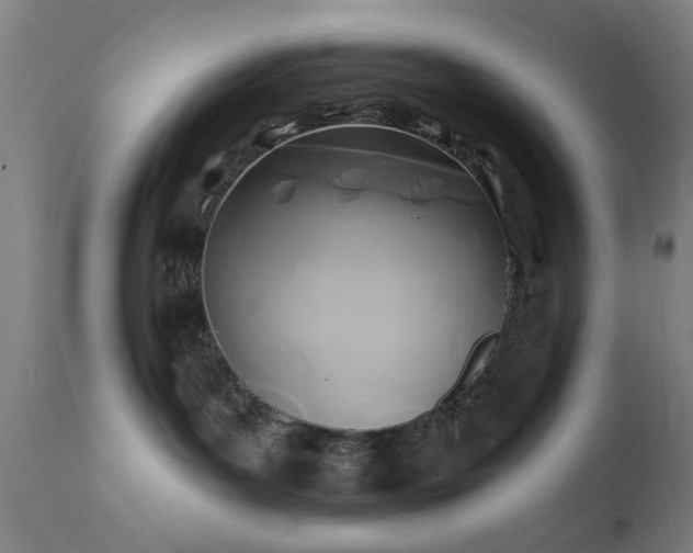 X0000111380143200907171231