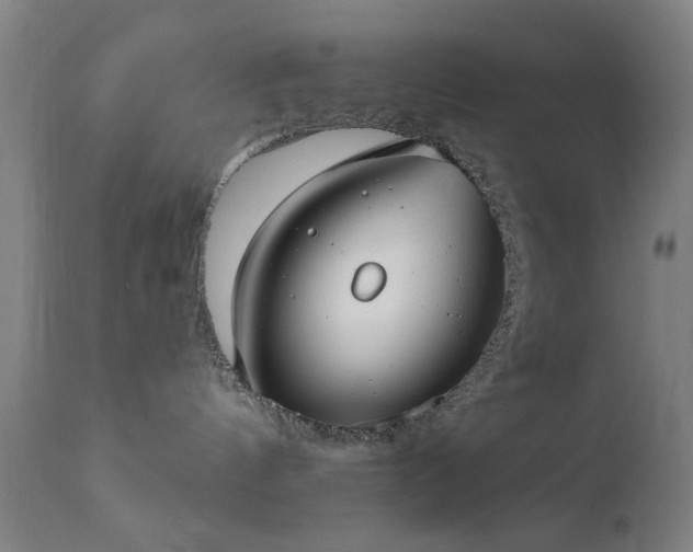 X0000111380144200907171231