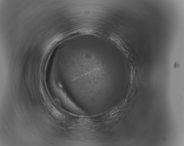 X0000111380145200907171230