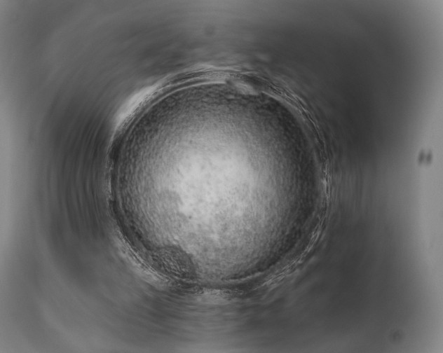 X0000111380149200907171230