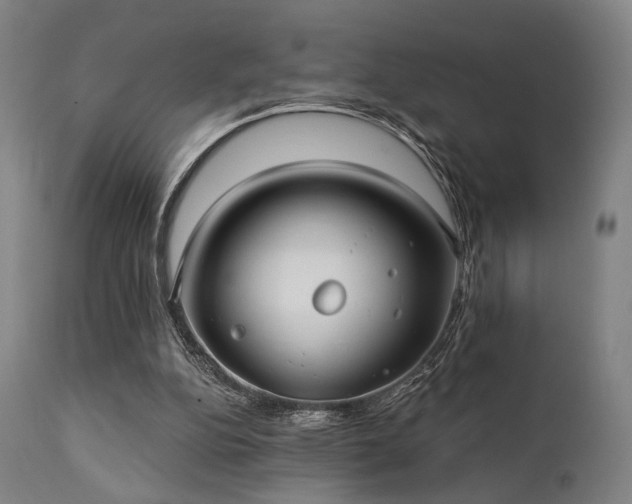 X0000111380152200907171230