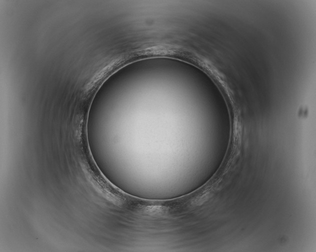 X0000111380153200907171230