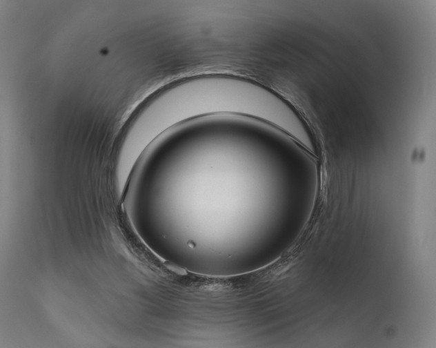 X0000111380156200907171230